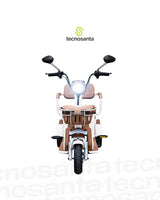 Trimoto Eléctrica M10 Mobulaa FAMILY-10 48V/12AH